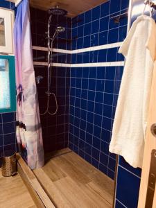 黑里绍霍夫迪特里希农家乐的蓝色瓷砖浴室设有淋浴和毛巾