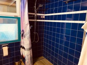 黑里绍霍夫迪特里希农家乐的浴室设有蓝色瓷砖淋浴和浴帘