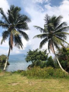 图克图克Leokap Homestay的海滩上两棵棕榈树