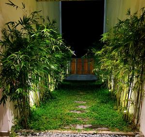 会安Hoian Tranquil Lodge - Chon Binh Yen的一座有门和植物的建筑的入口