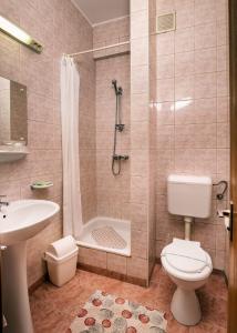圣格奥尔基Hotel Castel的浴室配有卫生间、淋浴和盥洗盆。