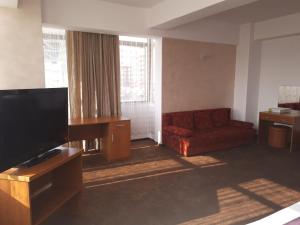 克拉约瓦Hotel Flormang的带沙发和平面电视的客厅