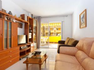 德尼亚Apartment Cascadas de la Marina-4 by Interhome的带沙发和电视的客厅