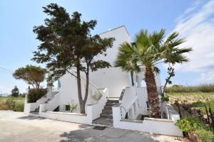 纳克索斯岛卡斯特拉基Palmos Self-Catering Apartment的一座棕榈树掩映的白色房子