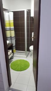 奥布罗瓦茨Apartman Ana的一间带卫生间和绿色地毯的浴室