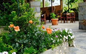 罗希姆诺雅典娜酒店的庭院里种有橙色和白色花卉的花园