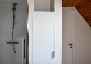 哈勒B&B Plattestien的带淋浴的浴室和白色门