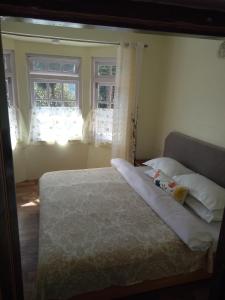 大吉岭Green Tara Residency的一间卧室设有一张床和两个窗户。
