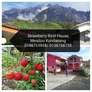 昆达桑Strawberry Rest House Mesilou Kundasang的山屋照片的拼合