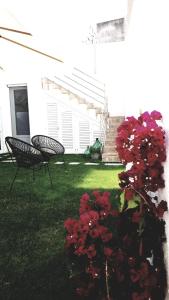 法维尼亚纳meridiano12的两长椅的院子和红花的灌木丛