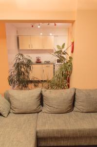 基辅Kiev Central Apartment的客厅里长着长沙发,长满了植物