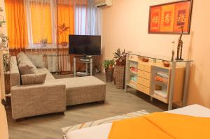 基辅Kiev Central Apartment的带沙发和电视的客厅