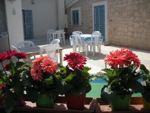 多纳卢卡他Casa vacanze La Meridiana的一组鲜花,一连几张桌子和椅子