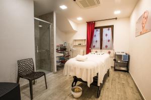 斯库索港Hotel Lido degli Spagnoli Wellness & Spa的客房设有一张床、一把椅子和淋浴