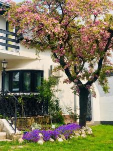 大戈里察Pilot's Manor - Airport Villa的房子前有粉红色花的树
