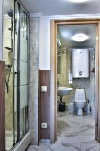 基辅EXPO Hotel Comfort的一间带卫生间和水槽的浴室