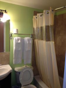 蒙克顿中城汽车旅馆及套房的带淋浴帘和卫生间的浴室