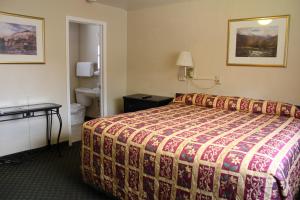 熔岩温泉村Lava Spa Motel & RV的一间酒店客房 - 带一张床和一间浴室