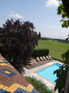 埃沙内韦奥贝奇酒店的一个带躺椅的游泳池,位于田野旁