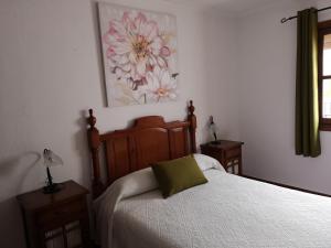 埃尔博斯克Pensión Venta Julián HCA01134的一间卧室配有一张带绿色枕头的床