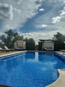 圣米克尔德巴兰Agroturismo Sa Vinya d'en Palerm的一座带椅子的大型蓝色游泳池和阴凉的天空