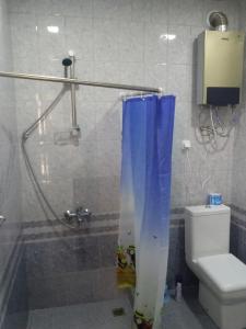 AreniAreni Tavern-B&B的带淋浴和卫生间的浴室