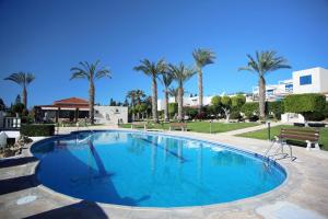 珊瑚湾CORAL BAY suite Cyprus的一座棕榈树环绕的大型游泳池
