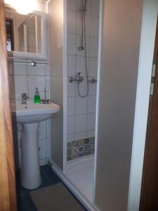 普雷代亚尔法斯特旅馆的带淋浴和盥洗盆的浴室