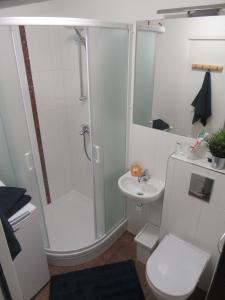 里加Family Apartment的带淋浴、卫生间和盥洗盆的浴室