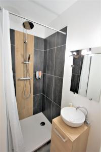 鲁昂Appart Rouen Centre的浴室配有水槽和带水槽的淋浴