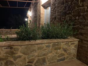 蒙塔尔奇诺Cordella In Valdorcia Truffle and Olive Oil Resort的夜间用植物装饰的石墙