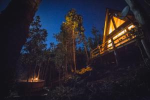 卡斯特鲁Puente Palos San Pedro的夜间树林里的一个灯火通明的小屋
