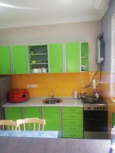 博尔若米Our house的厨房配有绿色橱柜和水槽
