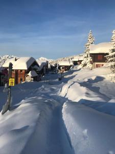 贝特默阿尔卑阿尔福莱顿酒店的房屋前有雪覆盖的道路
