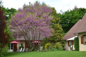 吉维尼Le Clos Fleuri的房子旁边的院子中的紫色树