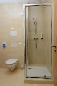 普雷绍夫贝利尔酒店的带淋浴和卫生间的浴室