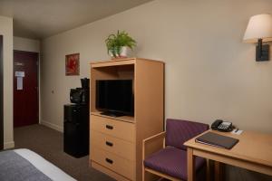 加里波第The Hotel Garibaldi的酒店客房设有一张床、一张书桌和一台电视机。