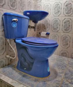 Valle de San JoséHotel el Paraíso del Valle的浴室设有蓝色的厕所和墙壁