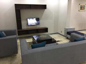 拉合尔Apartment near Shaukat Khanum的带沙发和电视的客厅