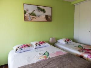波旁朗西埃塔普杜拉克公寓式酒店的绿墙客房中的两张单人床
