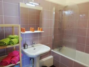 波旁朗西埃塔普杜拉克公寓式酒店的一间带水槽和淋浴的浴室