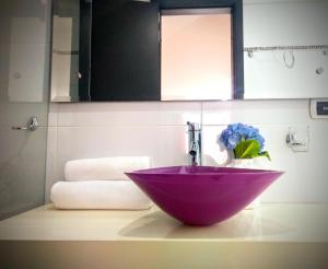 约帕尔Hotel Casimena的一间带紫色碗水槽的浴室