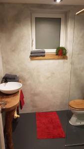Spodnji OtokApartma Romana的一间带水槽和卫生间的浴室以及红色地毯。