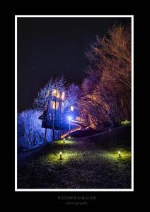 于尔维克Hardanger Panorama Lodge的享有公园的夜景,设有树木和灯光