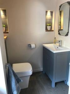 伊斯特布恩Cosy Flint Cottage的一间带水槽、卫生间和镜子的浴室