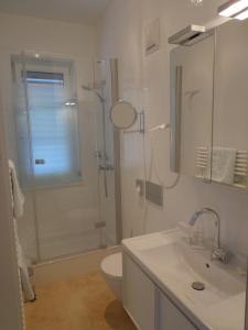 格拉茨马瑞卡史洛斯汉斯酒店的带淋浴、卫生间和盥洗盆的浴室