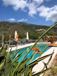 索列尔Can Busquera的一个带椅子的游泳池,后方是一座山。