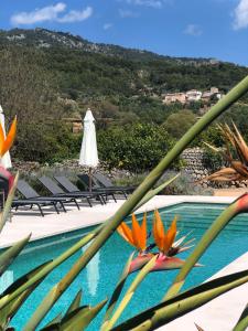 索列尔Can Busquera的享有带椅子和遮阳伞的游泳池的景致。