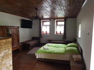 FelsőtoldKontyos Vendégház的一间卧室配有绿色的床和沙发