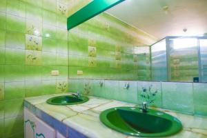 瓜亚基尔瓜亚基尔北星旅馆的浴室设有两个绿色水槽和镜子